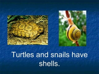 Animal body-parts | PDF