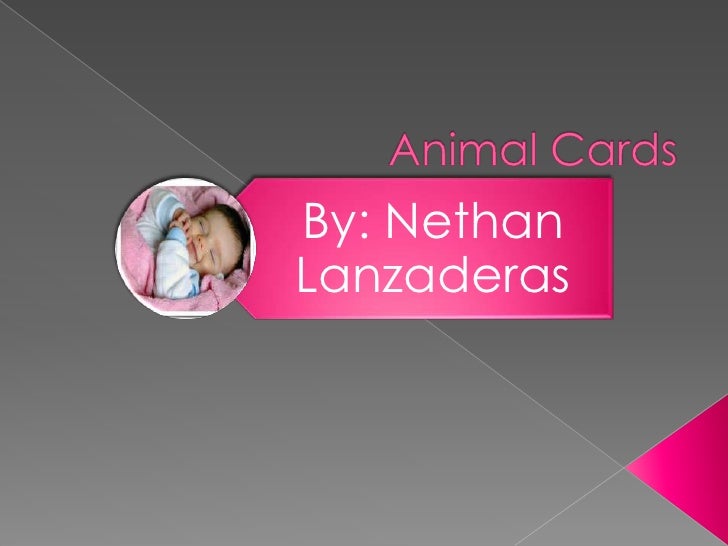 animal card using ms power point ms point card