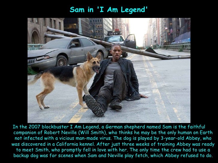 Will Smith Dog Movie Will Smith Dog Movie