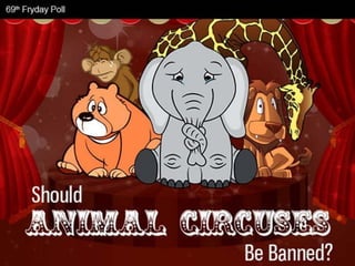 Should Animal Circuses Be Banned? Truth Behind The Curtain