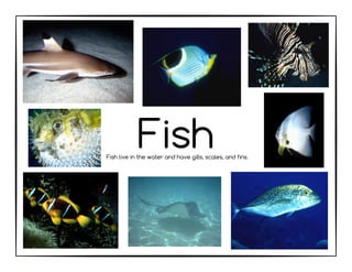 Fish Classification Poster Animal-Classification-Posters di DUnia.pdf