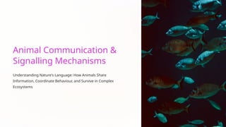 Animal-Communication-and-Signalling-Mechanisms.pptx