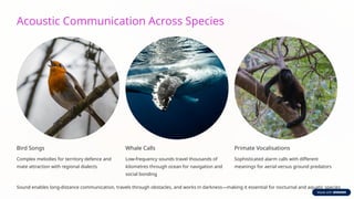 Animal-Communication-and-Signalling-Mechanisms.pptx