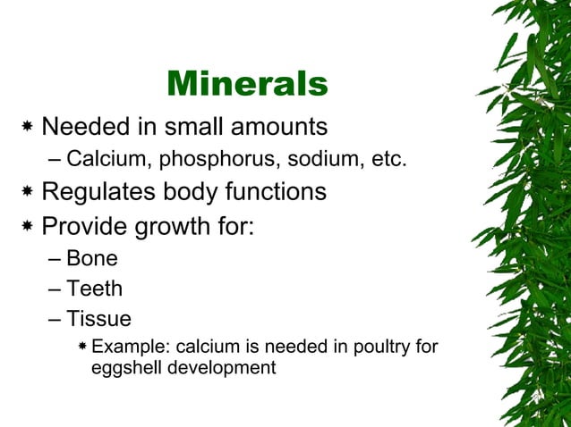 Animal visual data 8