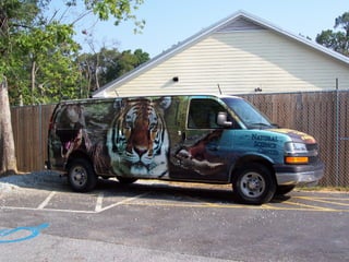 Animal Discovery | PDF