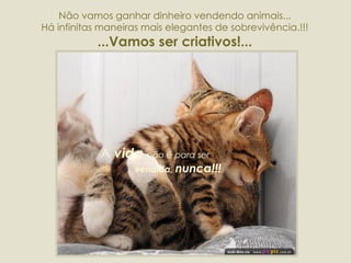 Não vamos ganhar dinheiro vendendo animais... Há infinitas maneiras mais elegantes de sobrevivência.!!! ...Vamos ser criativos!... A  vida   não é para ser  vendida,  nunca!!! 