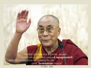“ Matar animais por esporte, prazer ...  aventura e por suas peles  é repugnante!!! Não há justificativa na satisfação de  uma  brutalidade  dessas” - Dalai Lama- 