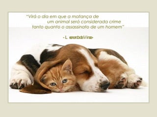 “ Virá o dia em que a matança de  um animal será considerada crime  tanto quanto o assassinato de um homem”  - Leonardo da Vince - 