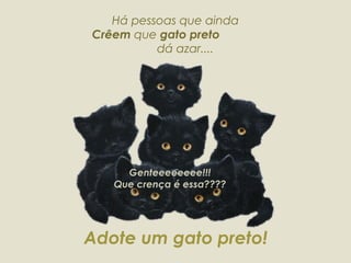 Há pessoas que ainda  Crêem  que  gato preto  dá azar.... Genteeeeeeee!!! Que crença é essa???? Adote um gato preto! 