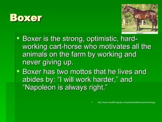 Boxer <ul><li>Boxer is the strong, optimistic, hard-working cart-horse who motivates all the animals on the farm by workin...