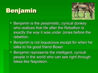 Benjamin <ul><li>Benjamin is the pessimistic, cynical donkey who realizes that life after the Rebellion is exactly the way...