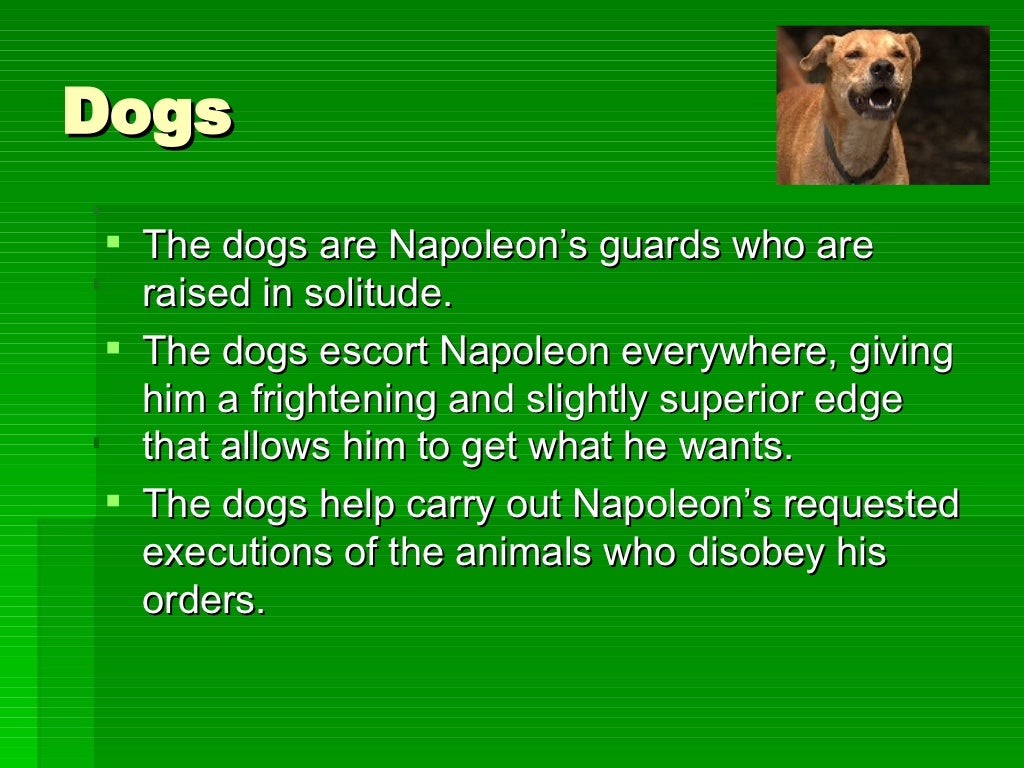 Animal Farm Characters