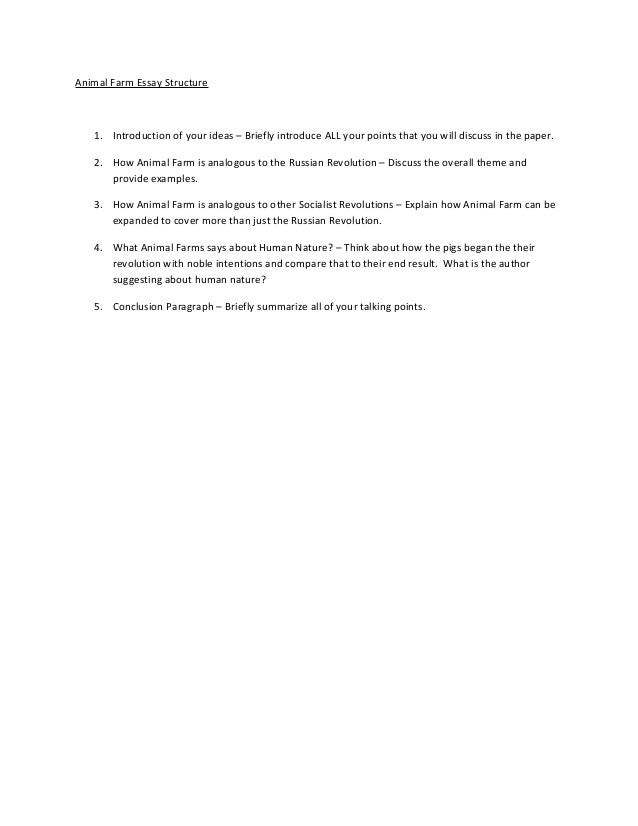 Animal essay