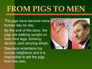 FROM PIGS TO MEN The pigs have become more human day by day.  By the end of the story, the pigs are walking upright on their hind legs, drinking alcohol, and carrying whips.  Napoleon entertains his human neighbors and it is impossible to tell the pigs from the men.  