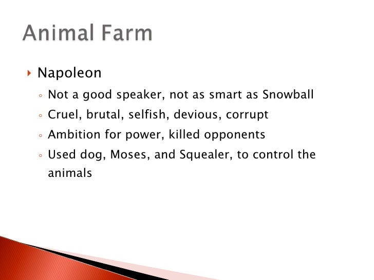 describe the relationship between snowball and napoleon