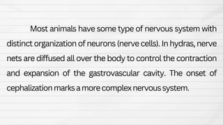 Animal Form and Function Presentation. Grr | PDF
