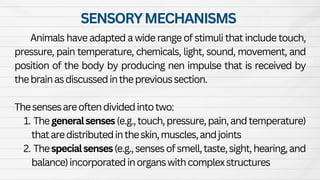 Animal Form and Function Presentation. Grr | PDF