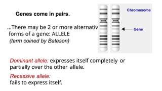 Gene Form ANIMAL-GENETICS-AND-BREEDING.pptx for education | PPTX