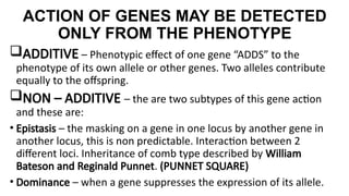 Additive Inheritance ANIMAL-GENETICS-AND-BREEDING.pptx for education | PPTX