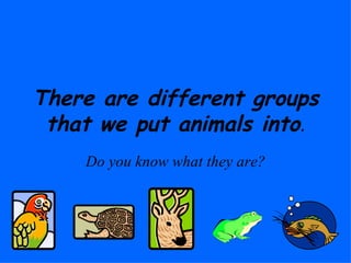 There are different groups that we put animals into . Do you know what they are? 