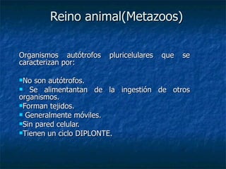 Reino animal(Metazoos) ,[object Object],[object Object],[object Object],[object Object],[object Object],[object Object],[object Object]