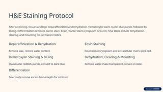 Staining Hand Eprocess Animal-Histology-and-HandE-Staining.pptx