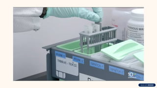 Staining Hand Eprocess Animal-Histology-and-HandE-Staining.pptx