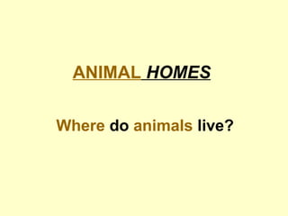 ANIMAL   HOMES Where  do  animals  live? 