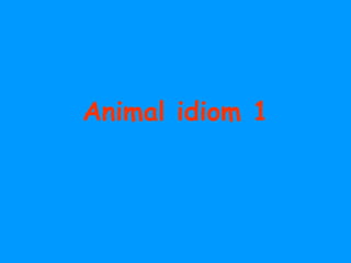 Animal idiom 1 