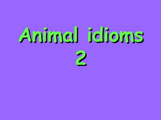 Animal idioms 2 