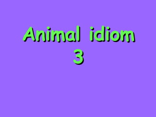 Animal idiom 3 