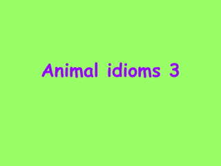 Animal idioms 3 