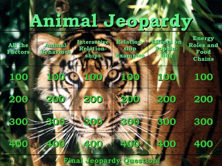Animal Jeopardy
