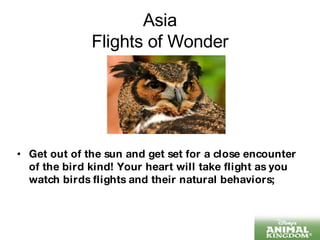 Asia Flights of Wonder Get out of the sun and get set for a close encounter of the bird kind! Your heart will take flight as you watch birds flights and their natural behaviors; 