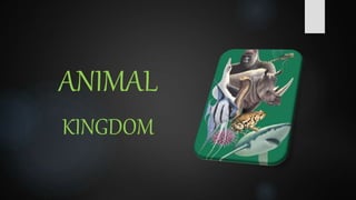 ANIMAL
KINGDOM
 