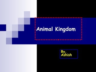 Animal Kingdom



        By,
        Ashish
 