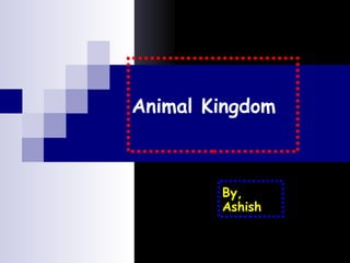 Animal Kingdom By, Ashish 