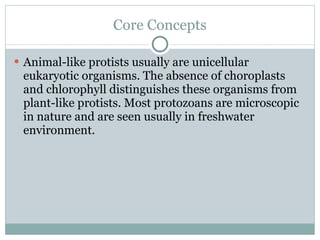 Animal like protists