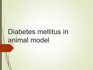 Diabetes mellitus in
animal model
 