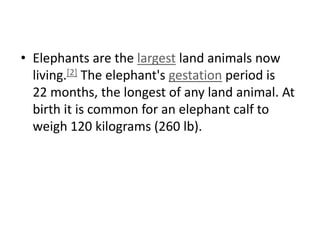 Elephants are the largest land animals now living.[2] The elephant's gestation period is 22 months, the longest of any land animal. At birth it is common for an elephant calf to weigh 120 kilograms (260 lb).