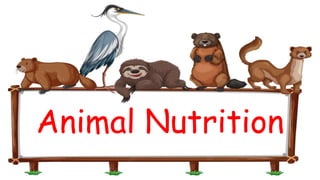 Animal Nutrition
 