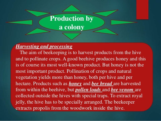 Animal origin-ppt-2014