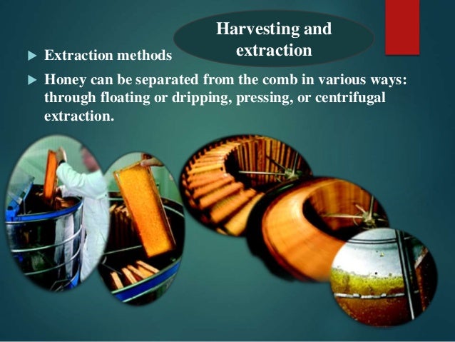 Animal origin-ppt-2014