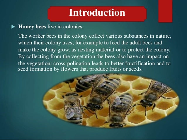 Animal origin-ppt-2014