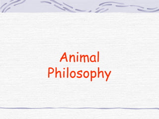 Animal Philosophy 