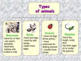 Types
                                of animals




                                         Insects
  Mammals              Birds                               Reptiles
                                       - have six legs
                     -have two legs;                     -have dry,
-have fur or hair;                     (three pairs) ;
- are warm-          -most fly with                      rough, scaly
                                       - have
 blooded;            wings;                              skin;
                                       antennae for
-feed their          -hatch from                         -lay their eggs
                                       feeling around;
 babies with         eggs.                               on or under
                                       - usually have
mother’s milk.                                           the ground.
                                       wings.
 