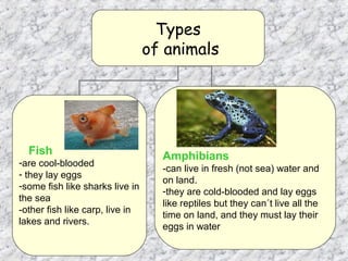 Types
                                 of animals




  Fish                             Amphibians
-are cool-blooded
                                   -can live in fresh (not sea) water and
- they lay eggs
                                   on land.
-some fish like sharks live in
                                   -they are cold-blooded and lay eggs
the sea
                                   like reptiles but they can´t live all the
-other fish like carp, live in
                                   time on land, and they must lay their
lakes and rivers.
                                   eggs in water
 