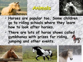 Animals
• Horses are popular too. Some children
  go to riding schools where they learn
  how to look after horses.
• There are lots of horse shows called
  gymkhanas with prizes for riding,
  jumping and other events.
 