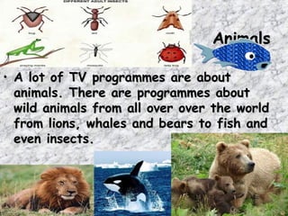 Animals

• A lot of TV programmes are about
  animals. There are programmes about
  wild animals from all over over the world
  from lions, whales and bears to fish and
  even insects.
 