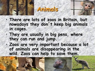Animals
• There are lots of zoos in Britain, but
  nowadays they don´t keep big animals
  in cages.
• They are usually in big pens, where
  they can run and jump.
• Zoos are very important because a lot
  of animals are disappearing in the
  wild. Zoos can help to save them.
 
